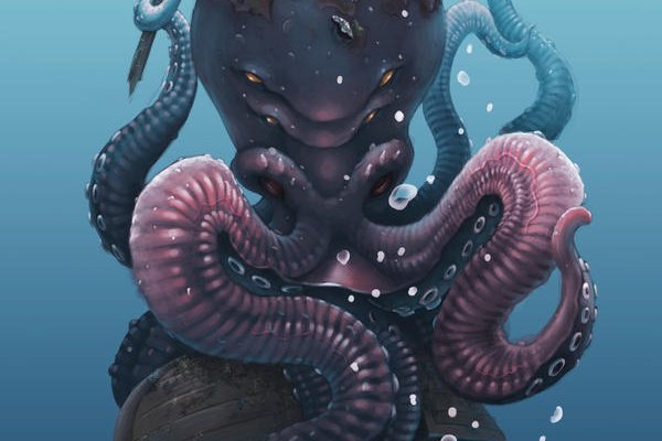 Kraken20.at