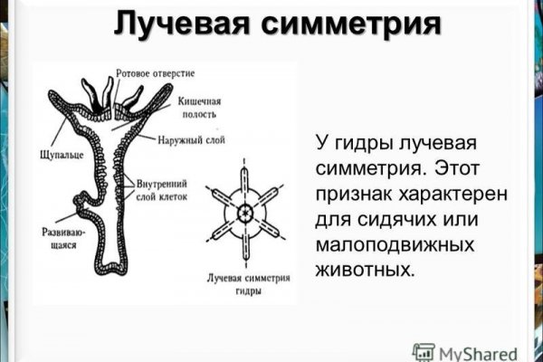 Кракен даркнет войти