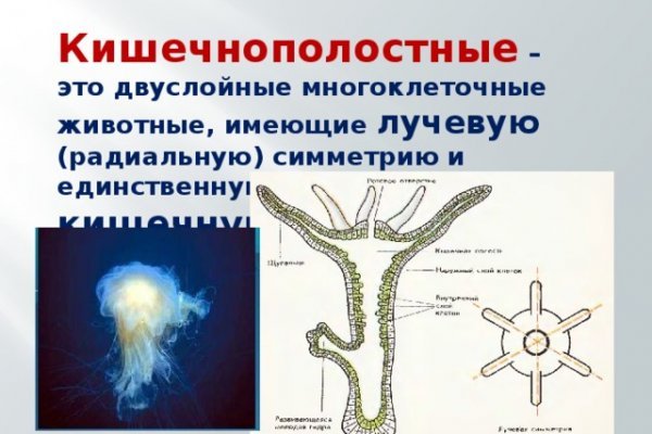 Кракен ссылка тор kr2web in