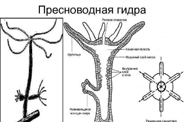 Кракен оф сайт